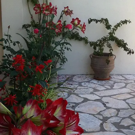 Apartment Angelina Roda (Corfu)